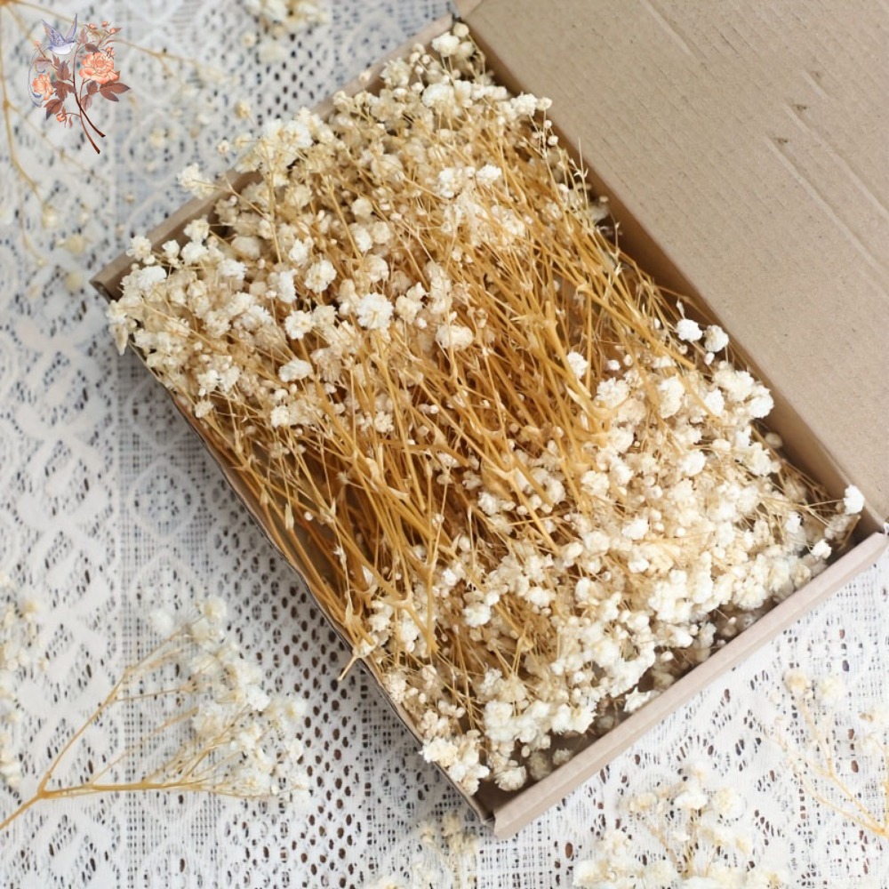 Embellish Craft - 100 Peças de Flores Secas Mini