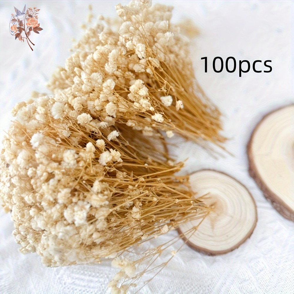 100 Peças de Flores Secas Mini - Embellish Craft avaliação e preço