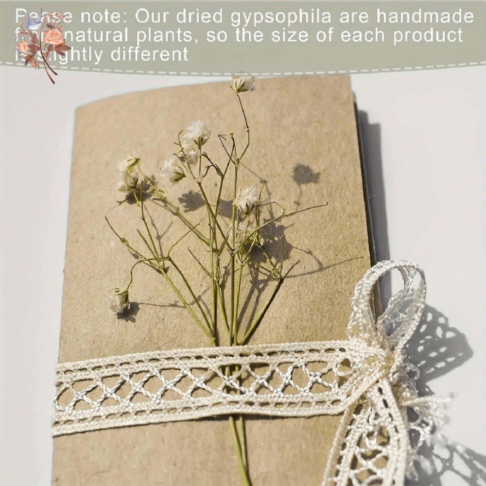100 Peças de Flores Secas Mini - Embellish Craft avaliação e preço